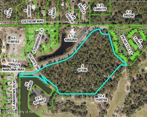 Nakoma Way, Weeki Wachee, FL 34613
