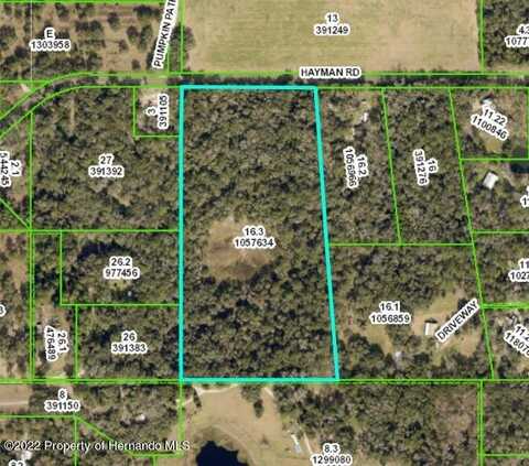 Hayman Road, Brooksville, FL 34602