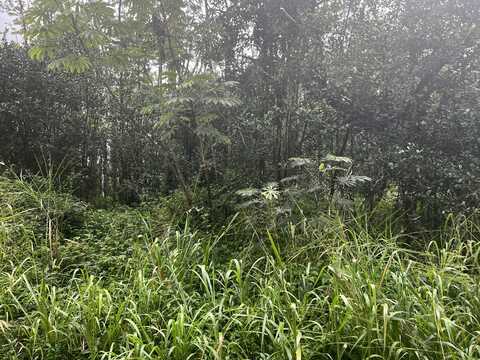 PAKALANA RD, Pahoa, HI 96778