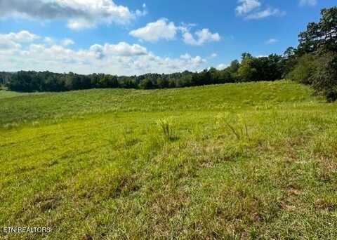 0 Co Rd 130, Riceville, TN 37370