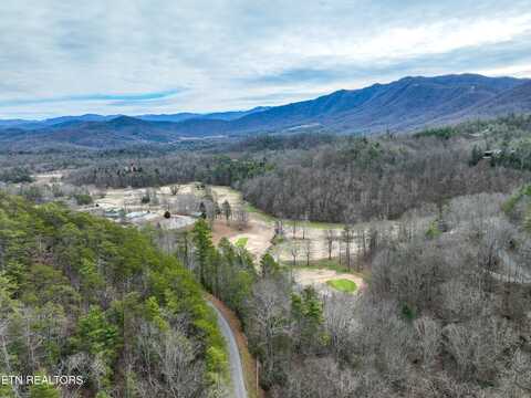 651 Hawk View Drive, Townsend, TN 37882