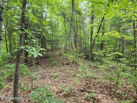 5.69 Acres Pea Hollow Road, Sevierville, TN 37876