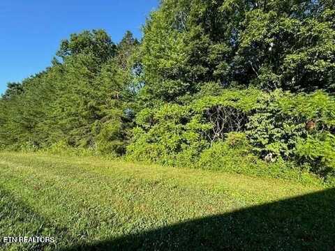 Mae Drive, Jamestown, TN 38556