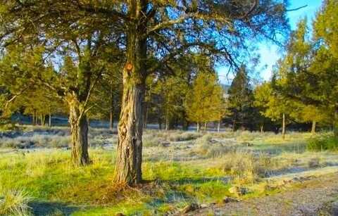 Lot 1129 Murrelet Road, Klamath Falls, OR 97601