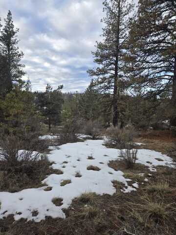 Jaguar Lane, Bonanza, OR 97623