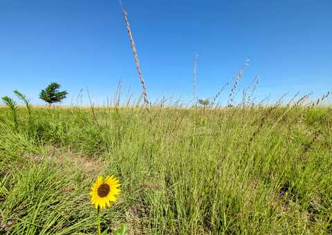 0 County Road 11, Sudan, TX 79371