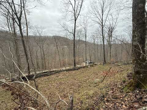240 Dale Hollow Road, Stanton, KY 40380