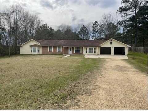 93 James Speed Rd, Collins, MS 39428