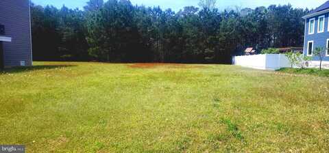 38101 NATURES WALK WAY, SELBYVILLE, DE 19975