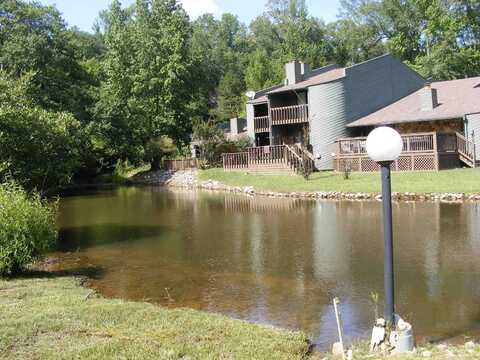 62 DRIFTWOOD, Counce, TN 38326