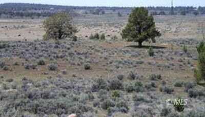 lot 10 Hafer Hills Rd Ln, Alturas, CA 96101