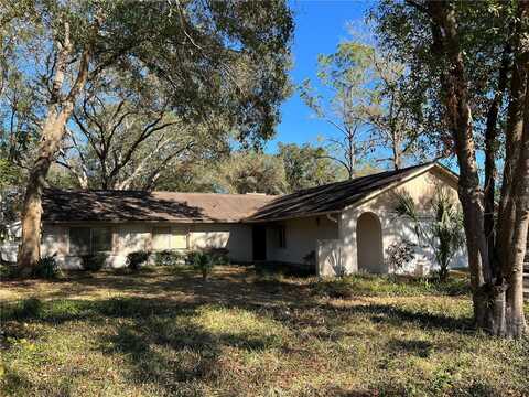 6720 DRIFTING SANDS ROAD, TEMPLE TERRACE, FL 33617