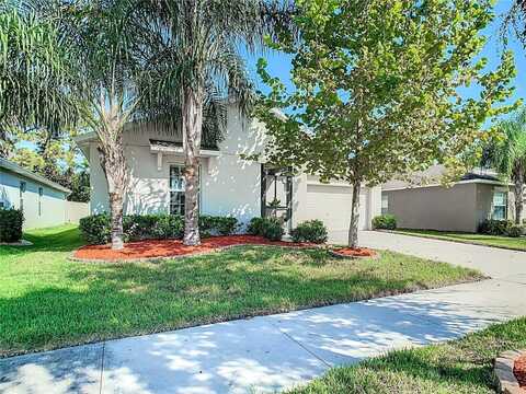 16635 MYRTLE SAND DRIVE, WIMAUMA, FL 33598