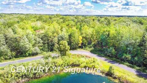 5 Widgeon, Hemlock, MI 48626