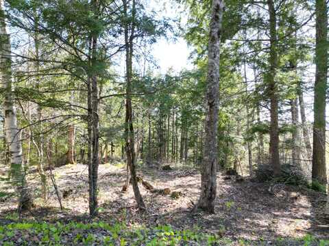 Tbd Bottle Lake Road, Lakeville, ME 04487