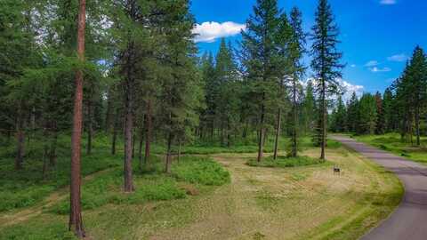 161 Wood Ridge Drive, Columbia Falls, MT 59912