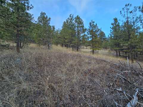 Nhn Pryor Creek Lane, Cascade, MT 59421