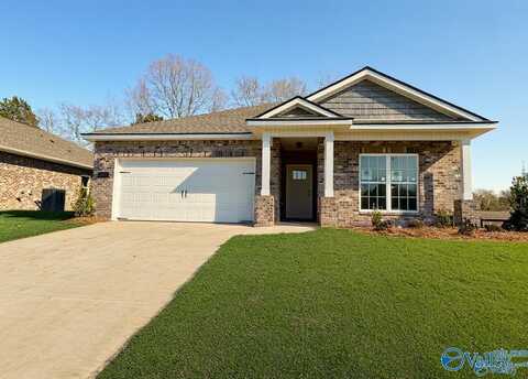 201 Sunny Springs Court, New Market, AL 35761
