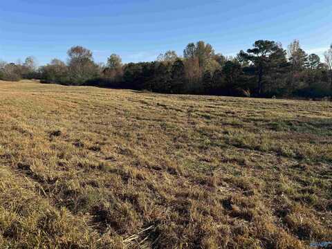 2.02 Baker Mountain Road, Grant, AL 35747