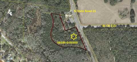 Tbd SE SR 21, Melrose, FL 32666