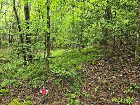 H7 River Sound Village, Hayesville, NC 28904