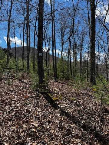 #11&#12 Knights Gap Way, Blairsville, GA 30512