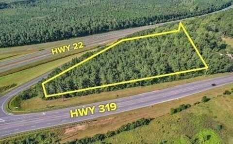 TBD Highway 319, Conway, SC 29526