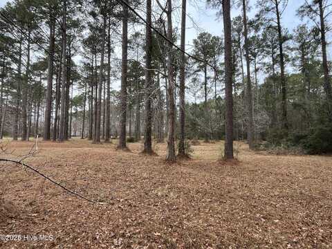 464 Dawson Creek Boulevard, Oriental, NC 28571