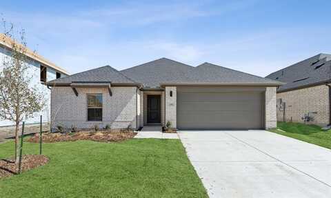 242 Twin View Vista Drive, Lavon, TX 75166