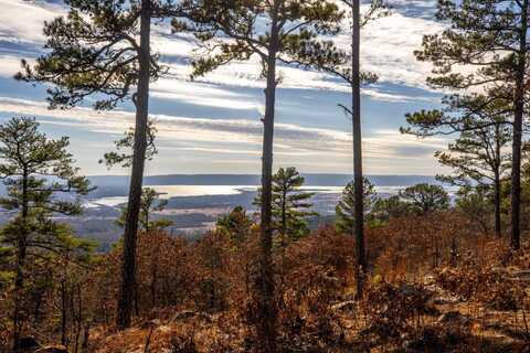 Lot 11 Phase 3 Timber Ridge Estates, Tuskahoma, OK 74574