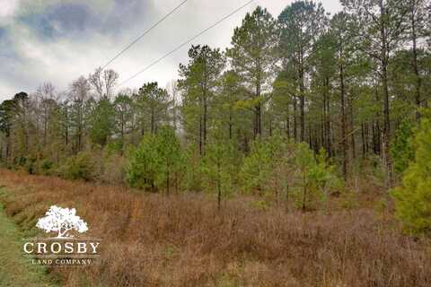 13911 Highway 19, Nichols, SC 29581