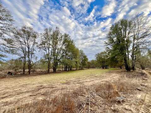 0 Highway 10, Pine Hill, AL 36769