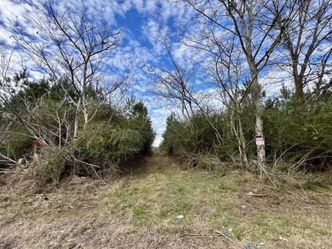 0 County Road 67, Thomasville, AL 36769
