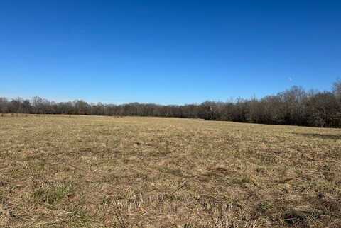 0 Spring Valley Rd., Tuscumbia, AL 35674