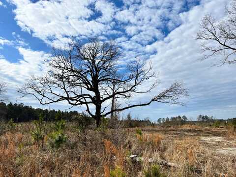 -- Robinson Road, Chappells, SC 29037