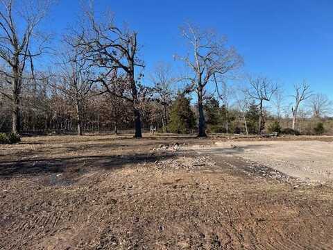 344 COUNTY ROAD 1276, CLARKSVILLE, TX 75426