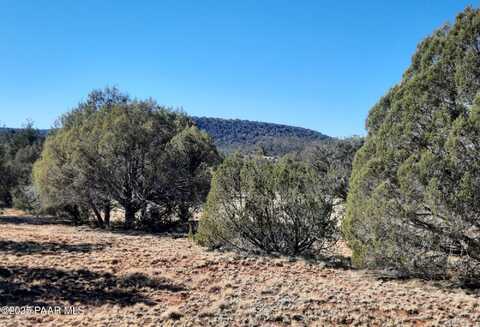 Lot 74 Forest Acres, Seligman, AZ 86337