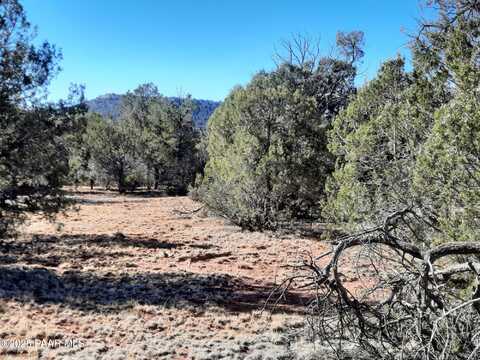 Lot 75 Forest Acres, Seligman, AZ 86337