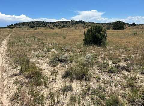 Long Horn Ranch lot: 17, Model, CO 81059