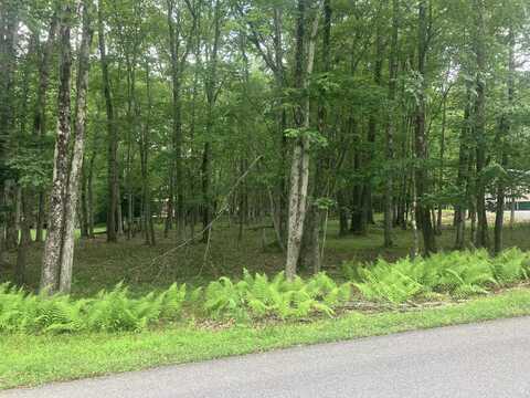 Elliot Lane, Albrightsville, PA 18210