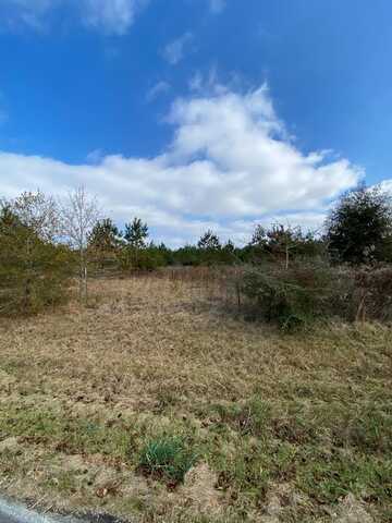 0 Buck Kirkland Rd, Poplarville, MS 39470