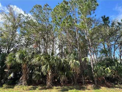 630 N Country Club Drive, Crystal River, FL 34429