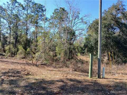 5490 W Mannis Court, Homosassa, FL 34446