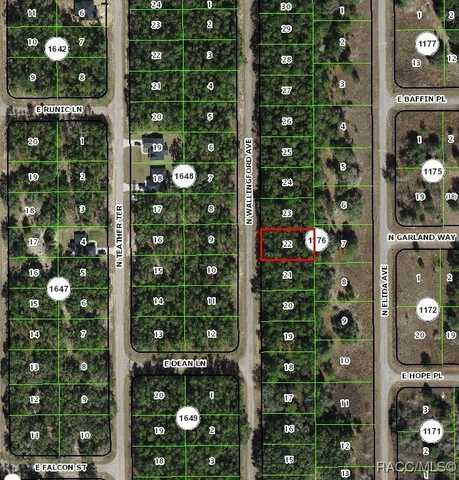8645 N Wallingford Avenue, Citrus Springs, FL 34434