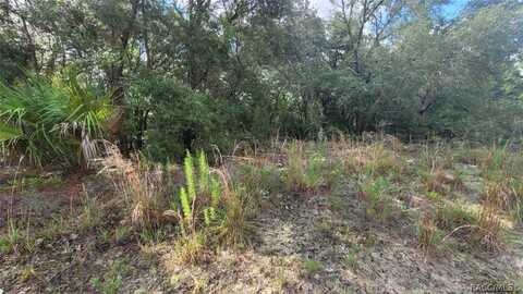 619 W Bancroft Drive, Citrus Springs, FL 34434