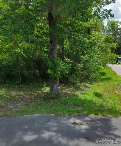 Tbd County Road 428 Road, Lake Panasoffkee, FL 33538