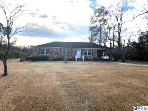 1943 Road 300, Lake View, SC 29563