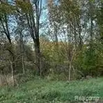 000 Coon Lake Rd, Howell, MI 48843