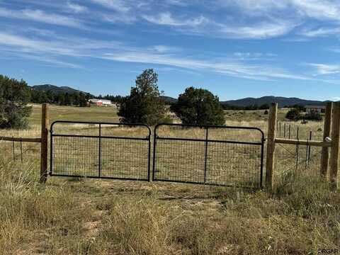 143 Wendy Drive, Cotopaxi, CO 81223