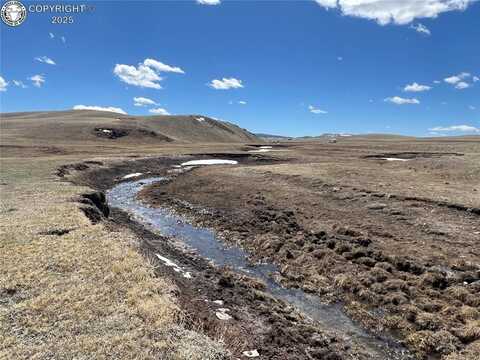 209 Watonga Road, Hartsel, CO 80449